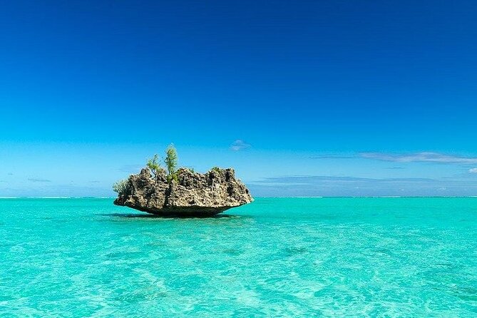 Private Speed Boat Tour and Dolphin Encounter at Ile aux Benitier - What lunch and drinks really include