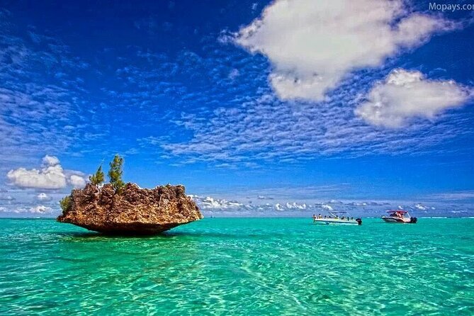 Private Speed Boat Tour and Dolphin Encounter at Ile aux Benitier - Is $312.02 per person good value?