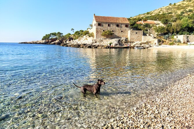 Private Speed Boat Tour of Hvar South Shore & Pakleni islands - What the private format is really worth