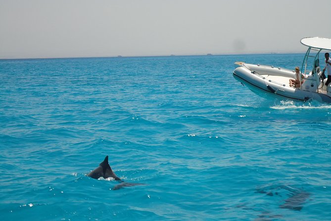 Private Speed Boat Trip In Hurghada - Choosing between dolphins, islands, snorkeling, and sunset