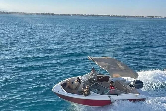 private speedboat 3 hours to dolphin house - Hurghada - Dolphin watching in the Red Sea