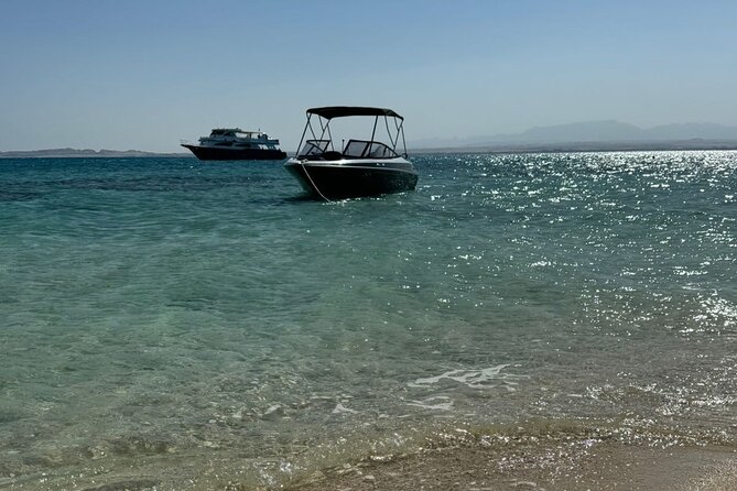 Private Speedboat Dolphins and Snorkelling Cruise in Hurghada - Abu Minqar Island and the shipwreck finish