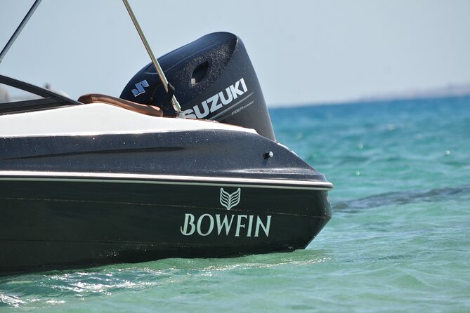 Private Speedboat Dolphins and Snorkelling Cruise in Hurghada - Weather, timing, and the cancellation rule