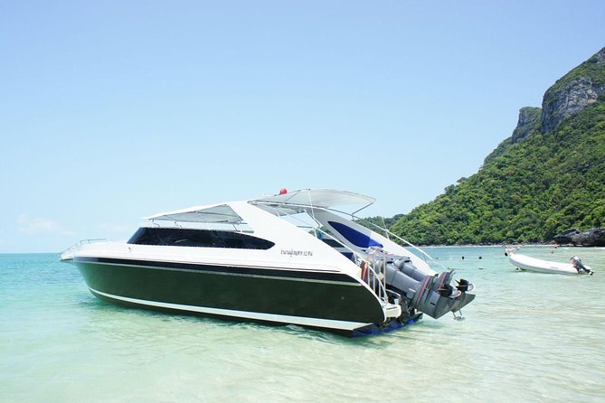 Private Speedboat Koh Tan & Pig Island Snorkeling from Samui - Lunch, water, and the practical comforts