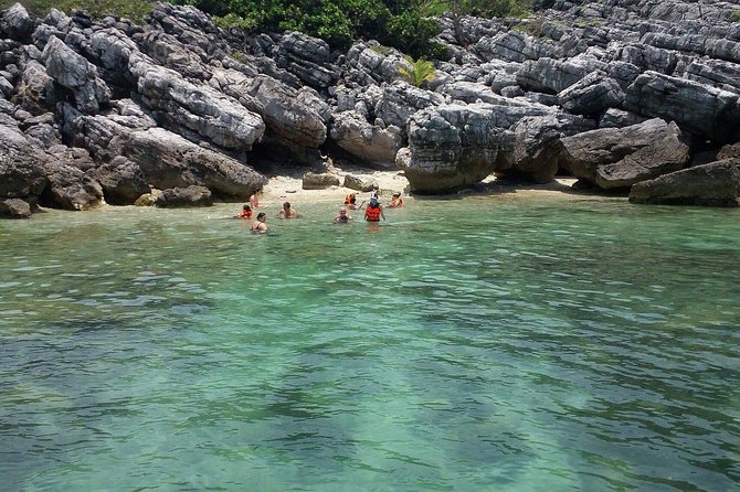 Private Speedboat Koh Tan & Pig Island Snorkeling from Samui - Who will enjoy this Samui island day