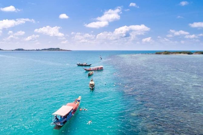 Private Speedboat Koh Tan & Pig Island Snorkeling from Samui - Timing, cancellation, and small costs