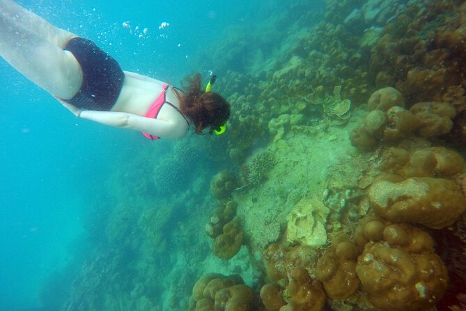 Private Speedboat Maiton, Racha, and Coral Islands Tour from Phuket - Starting at Royal Phuket Marina