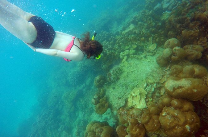 Private Speedboat Maiton, Racha, and Coral Islands Tour from Phuket - Two hours at Coral Island
