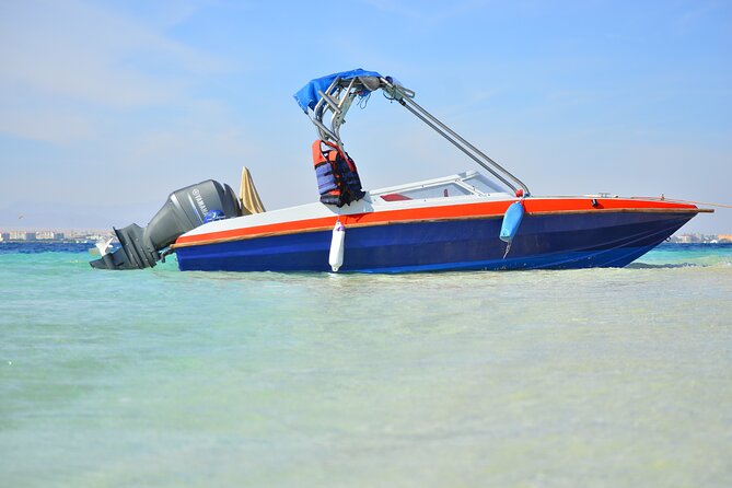 Private Speedboat to Abu Munkar Island and Snorkeling - Hurghada - Snorkeling near coral reefs