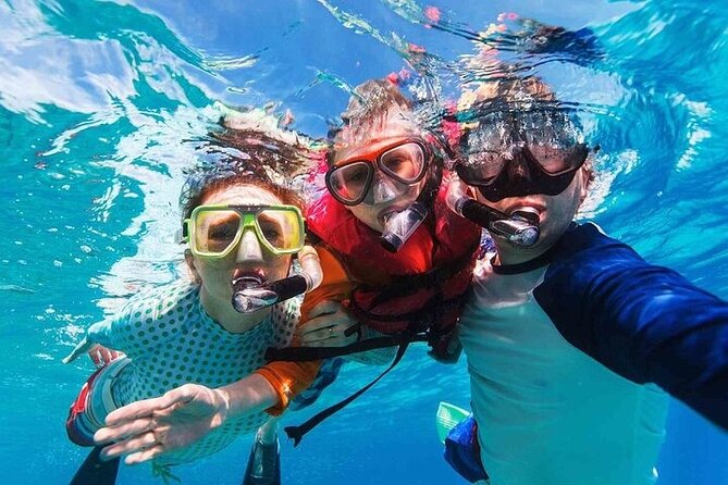 Private Speedboat to Abu Munkar Island and Snorkeling - Hurghada - Water activities and time back on the boat