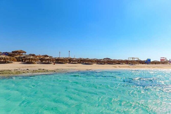 Private Speedboat To Dolphin House & Magawish Island _ Hurghada - Dolphin watching comes with a real condition