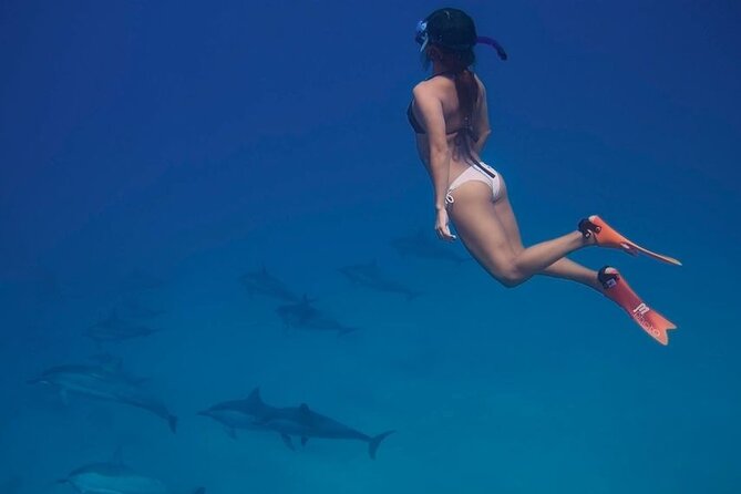 Private Speedboat To Dolphin House With Parasailing - Hurghada - Who will enjoy this Hurghada outing most