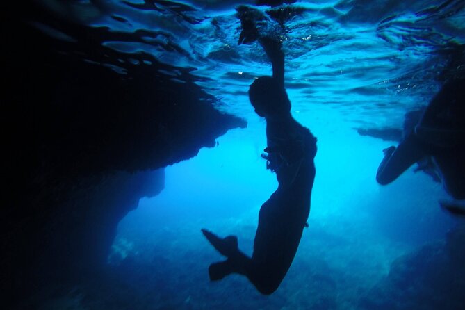 Private Speedboat Tour - Your guide: Damir, Bruno, and the human touch
