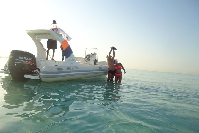 Private Speedboat Tour From Hurghada - Dolphin spotting and sunset options
