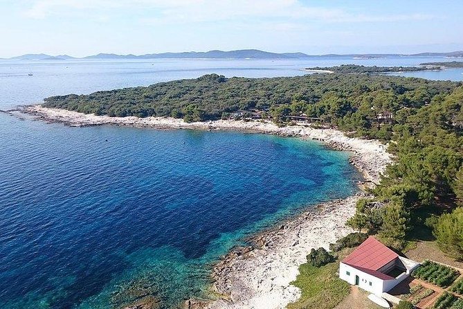 Private Speedboat tour "Hidden Gems of Dugi otok" - Swimming, snorkeling, and the chance to see wildlife