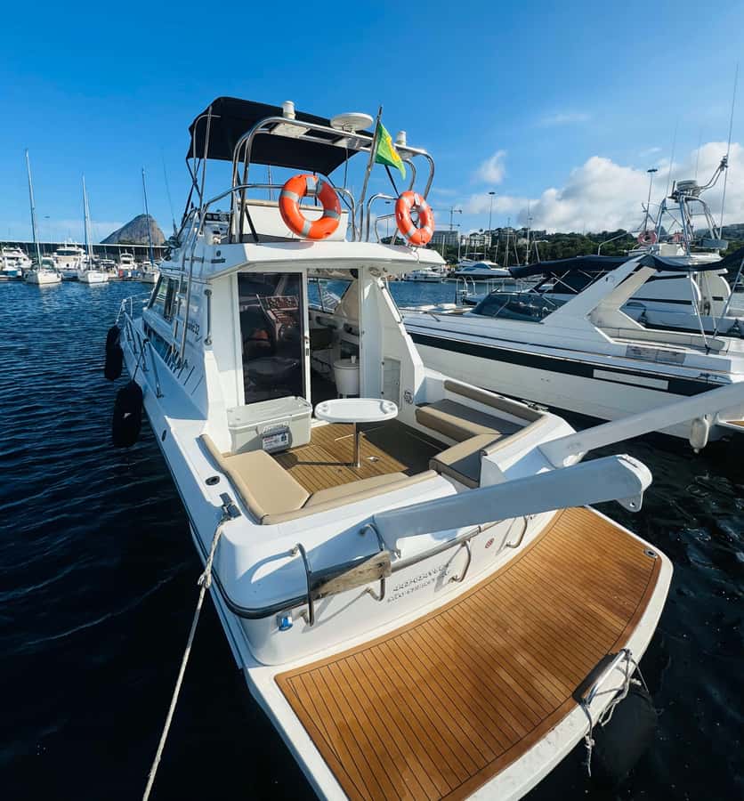 Private speedboat tour in Rio de Janeiro - Why Rio’s coast is best seen from a private boat