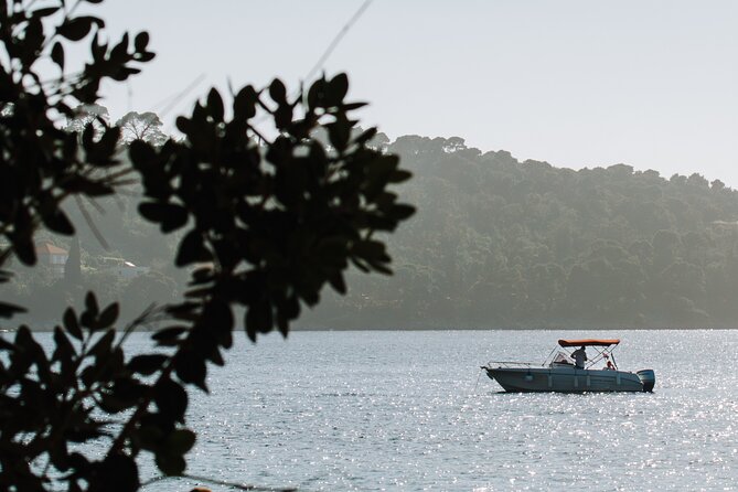 Private Speedboat Tour over Elaphiti Islands and Hidden Caves - Why this private boat trip works so well