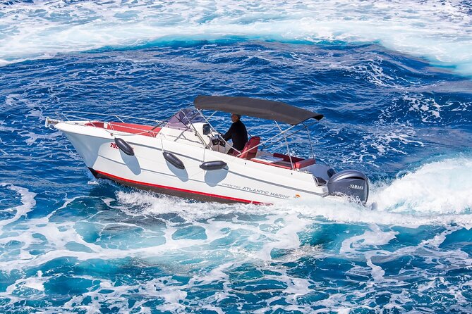 Private Speedboat Tour to Elafiti Islands - Why a private speedboat works well around Dubrovnik