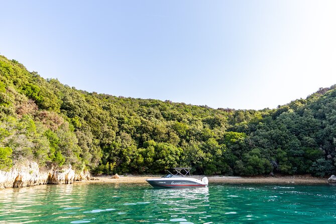 Private Speedboat Tour to Lim Fjord and Red Island - Why a private boat works so well around Rovinj