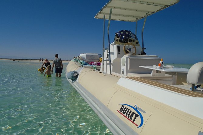 Private Speedboat Trip In Hurghada - What the $42 price means