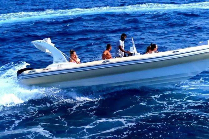 Private Speedboat Trip To Dolphin House In Hurghada - Snorkeling near free-swimming dolphins