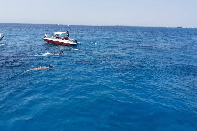 PRIVATE TOUR ! 4-Hours Swiming with dolphins, snorkeling, island by speed boat - What the four-hour schedule feels like