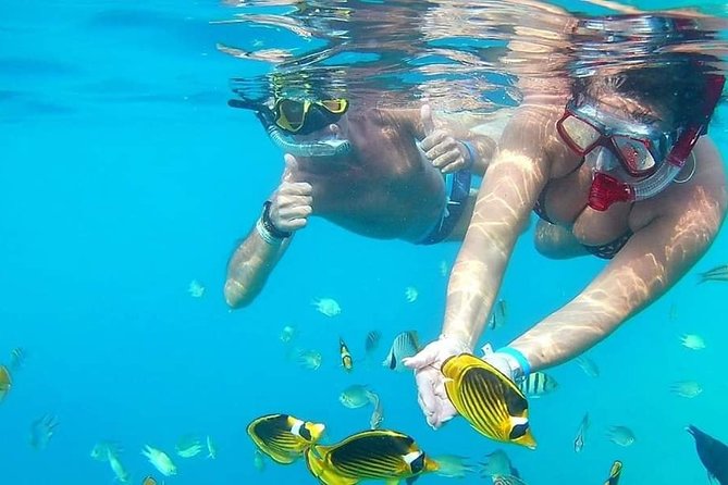 PRIVATE TOUR ! 4-Hours Swiming with dolphins, snorkeling, island by speed boat - Who gets the best value from this trip