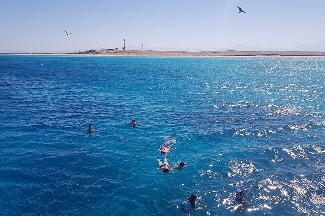 PRIVATE TOUR ! 4-Hours Swiming with dolphins, snorkeling, island by speed boat - Price, group size, and cancellation rules