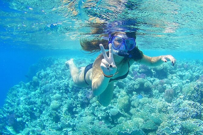 PRIVATE TOUR ! 4-Hours Swiming with dolphins, snorkeling, island by speed boat - Abu Minquar Island and the shipwreck stop