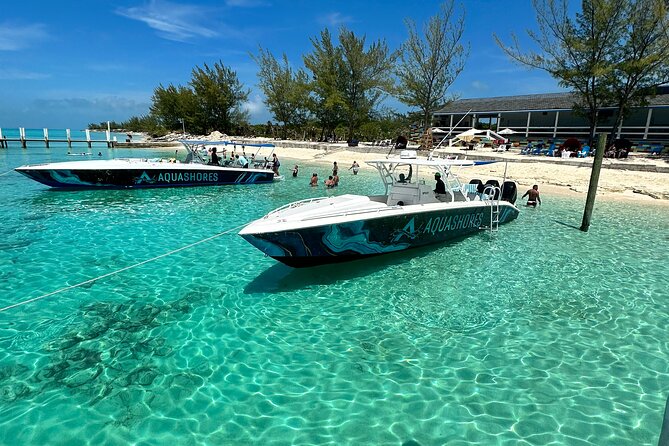 Private Tour 45ft Powerboat to Nearby Islands - Swimming pigs finish the island circuit