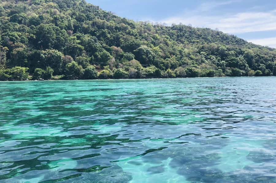 Private VIP Speed Boat to Phi Phi & Maya Bay - Key points to know before booking