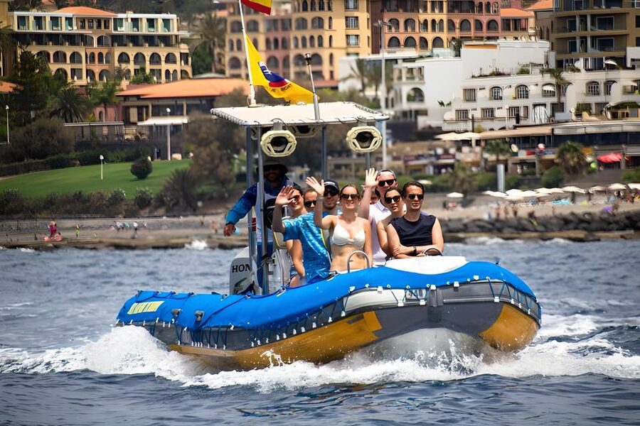 Puerto Colon: Dolphin and Whale Watching Speedboat Cruise - The Bay Stop Near Los Cristianos