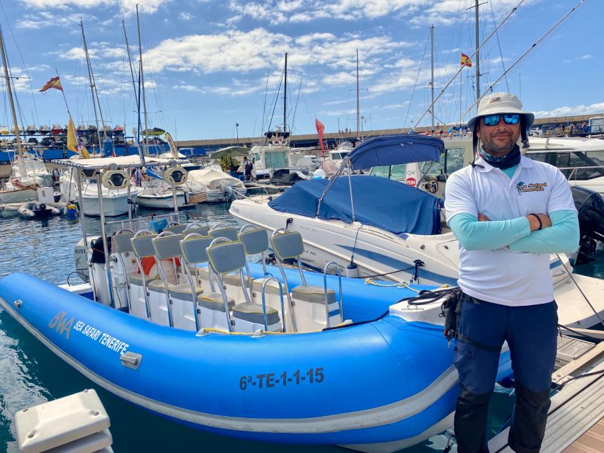 Puerto Colon: Dolphin and Whale Watching Speedboat Cruise - Is $77 a Fair Price?