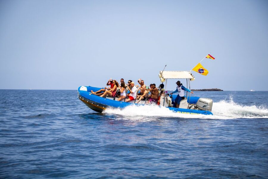 Puerto Colon: Dolphin and Whale Watching Speedboat Cruise - Who Will Enjoy This Cruise Most