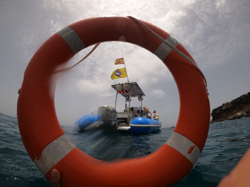 Puerto Colon: Dolphin and Whale Watching Speedboat Cruise - Practical Tips for a Better Trip