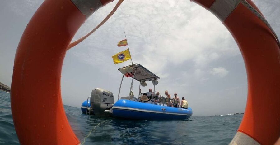 Puerto Colon: Dolphin and Whale Watching Speedboat Tour - Searching for pilot whales, dolphins and turtles