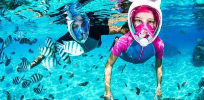 Puerto del Carmen: Dolphin-Watching Speedboat Tour with Swim