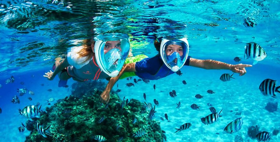 Puerto del Carmen: Dolphin-Watching Speedboat Tour with Swim - A good choice for families, with a few cautions