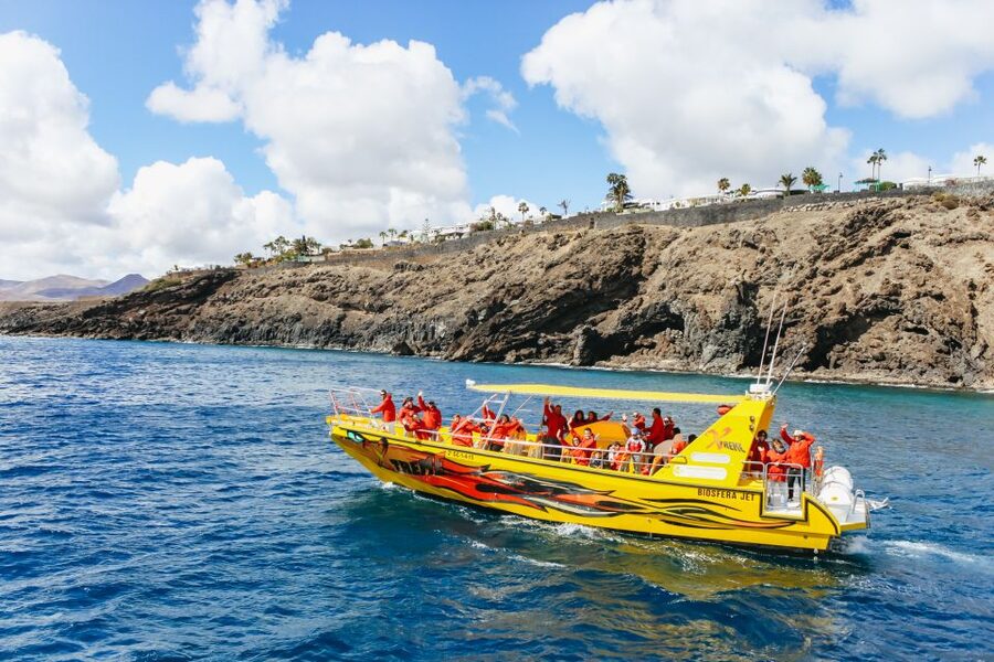 Puerto del Carmen: Dolphin-Watching Speedboat Tour with Swim - Meeting point, languages, and flexible booking