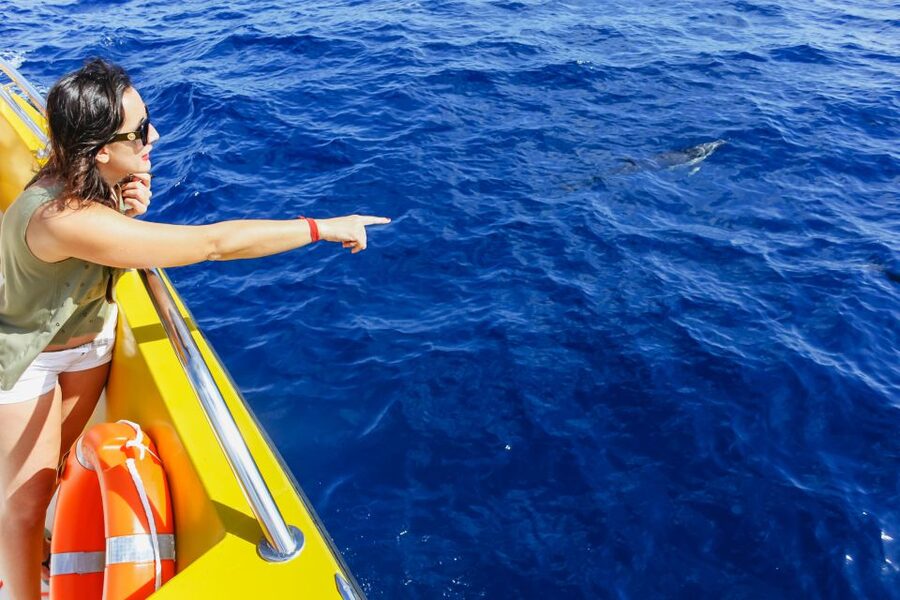 Puerto del Carmen: Dolphin-Watching Speedboat Tour with Swim - What to pack for the Biosfera Jet