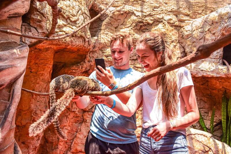 Puerto Vallarta: Canopy Tour with Zipline and Speedboat Ride - The animal sanctuary adds a gentler hour