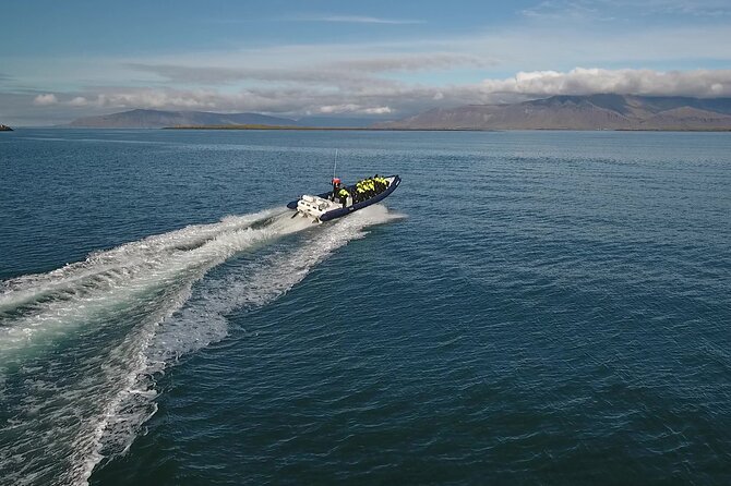 Puffin Express by RIB Speedboat from Reykjavík - Puffins just offshore from Reykjavík