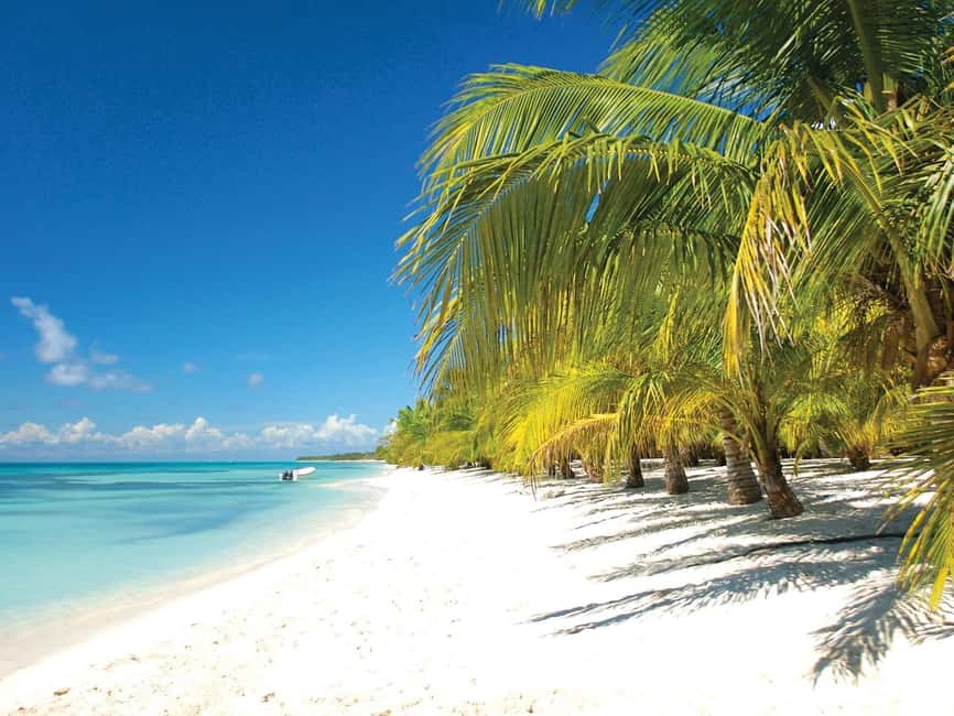 Punta Cana: Saona Island Speedboat and Catamaran Tour - From Punta Cana hotels to Bayahibe harbor