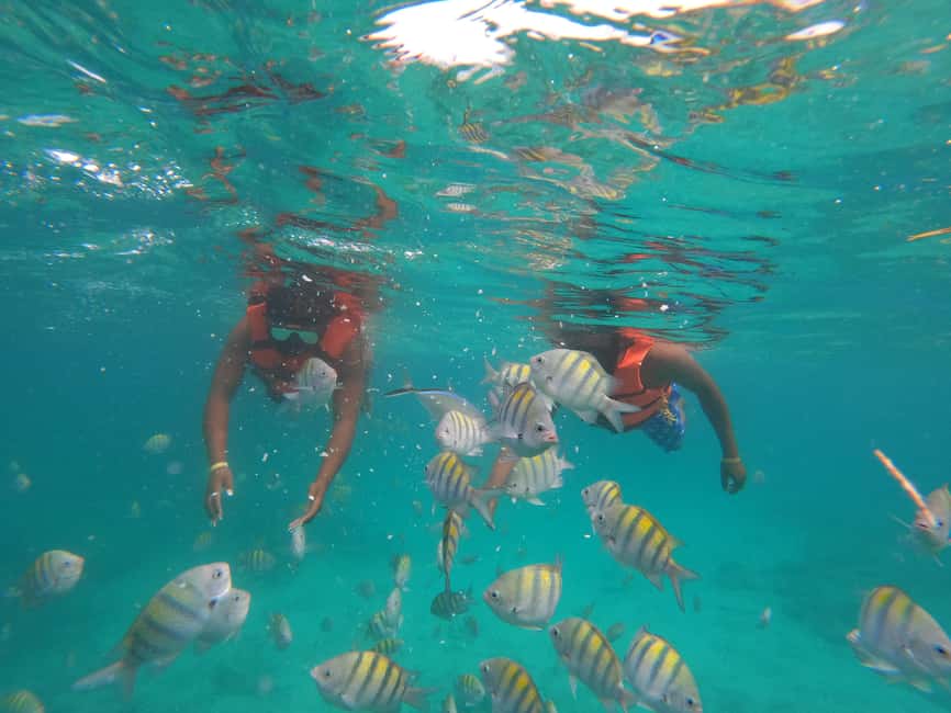 Punta Cana: Speed Boat Ride & Snorkel Adventure - Languages and the guide experience