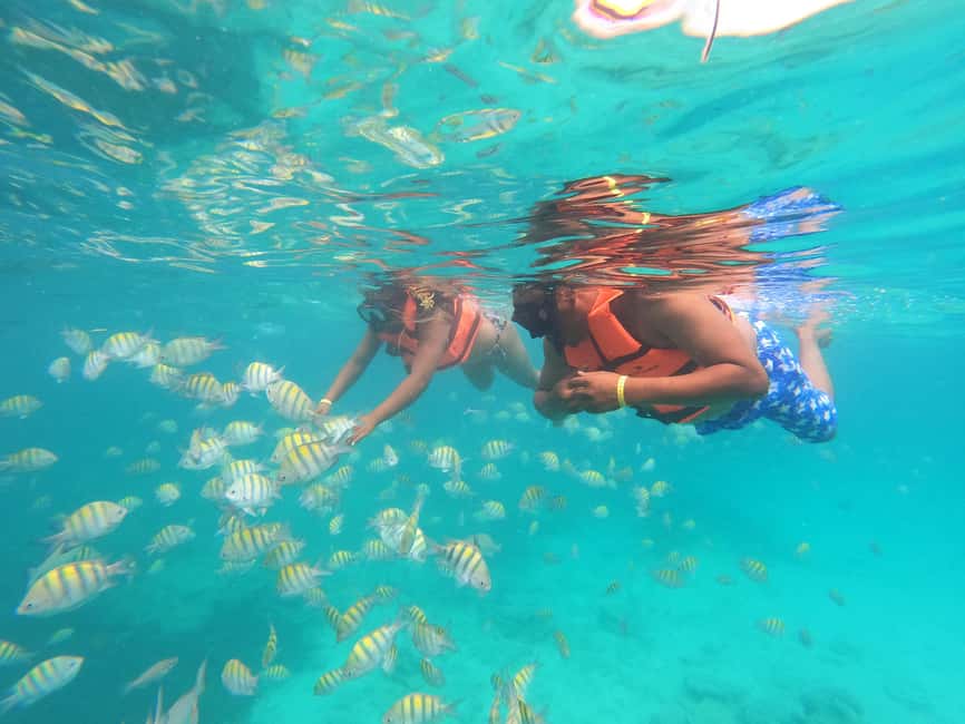 Punta Cana: Speed Boat Ride & Snorkel Adventure - Booking details worth checking first
