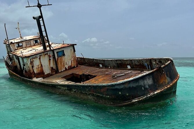 Punta Cana Speed Boat to Saona Island with Lunch & Natural Pools - A Dominican buffet lunch on the island