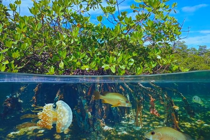 Punta Cana Speed Boat to Saona Island with Lunch & Natural Pools - The ride back and the real length of the day