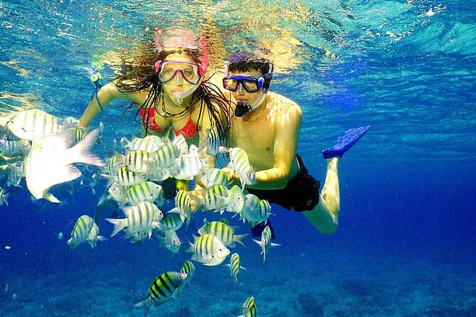 Punta Cana Speed Boat Tour and Snorkeling - Reaching Playa Los Corales from your hotel