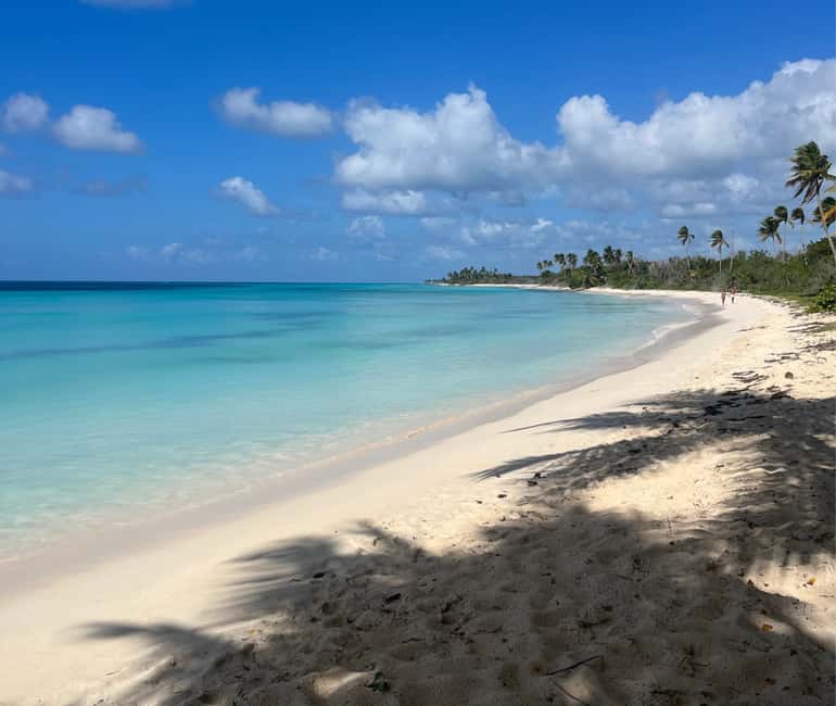 Punta Cana: VIP Private Speedboat Escape to Saona Island - Mano Juan Village and a Dominican Lunch