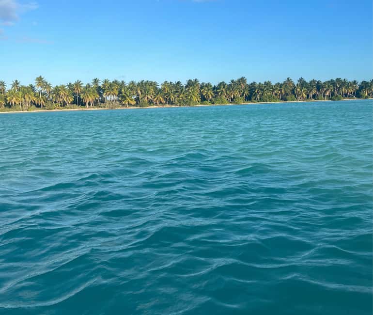 Punta Cana: VIP Private Speedboat Escape to Saona Island - Snorkeling at Canto de la Playa